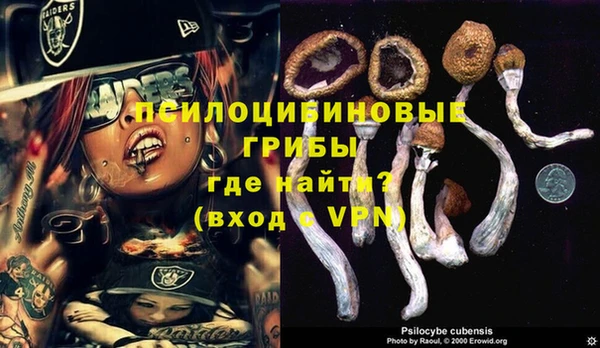 сатива Балахна
