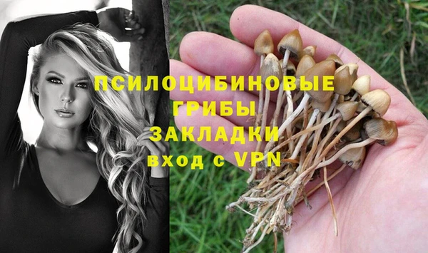 спиды Балабаново