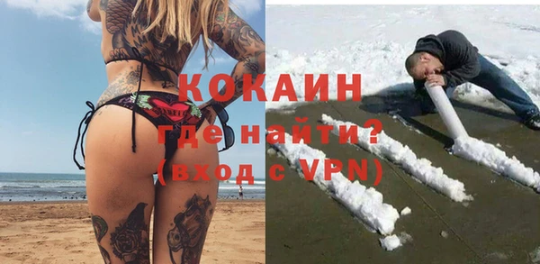 сатива Балахна