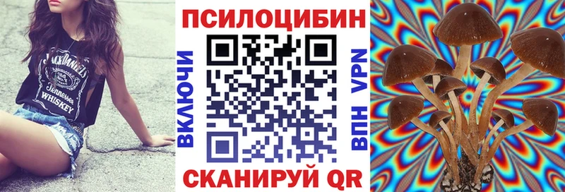 как найти наркотики  Краснокаменск  Псилоцибиновые грибы прущие грибы 